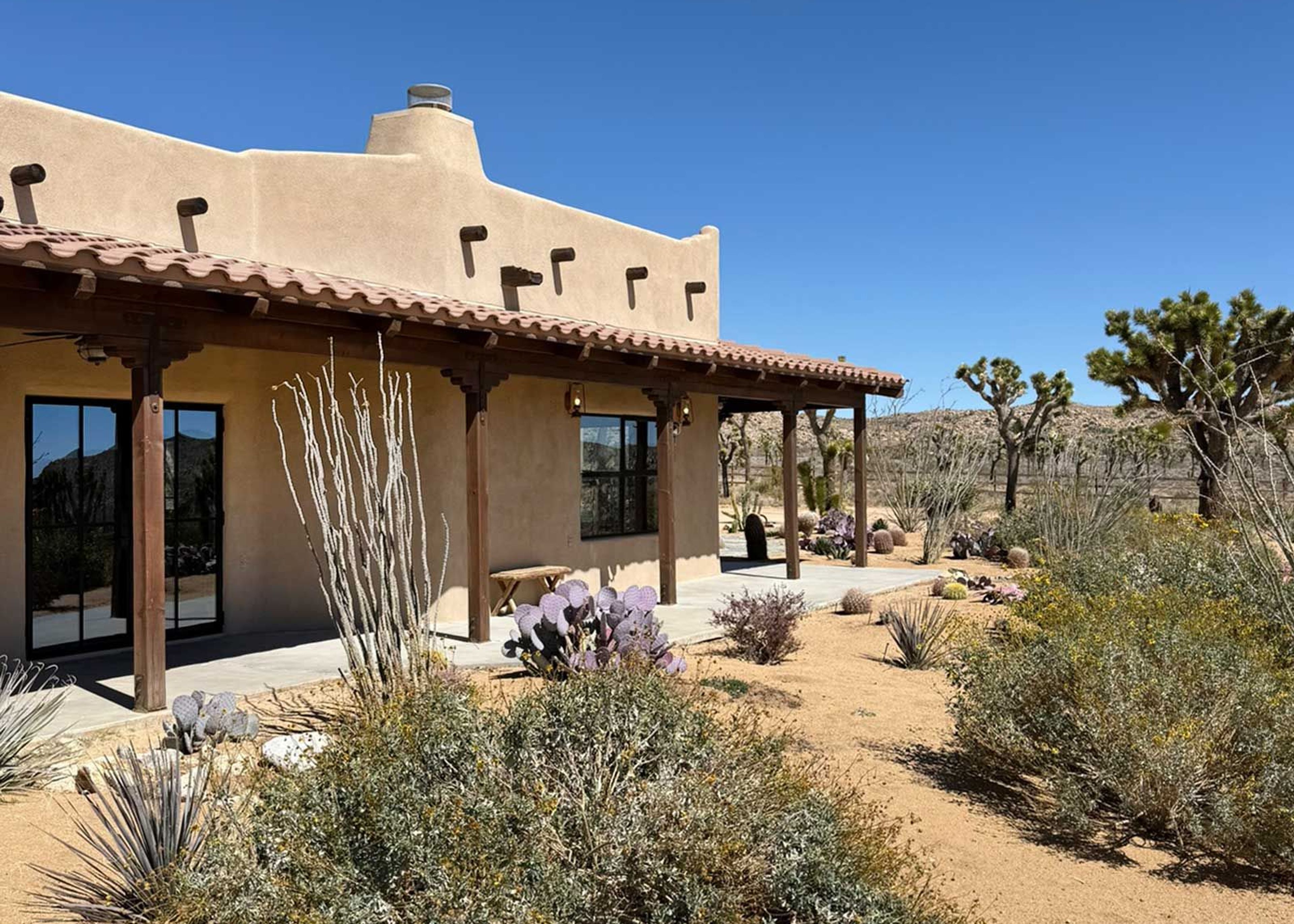 An Inside Guide to Joshua Tree